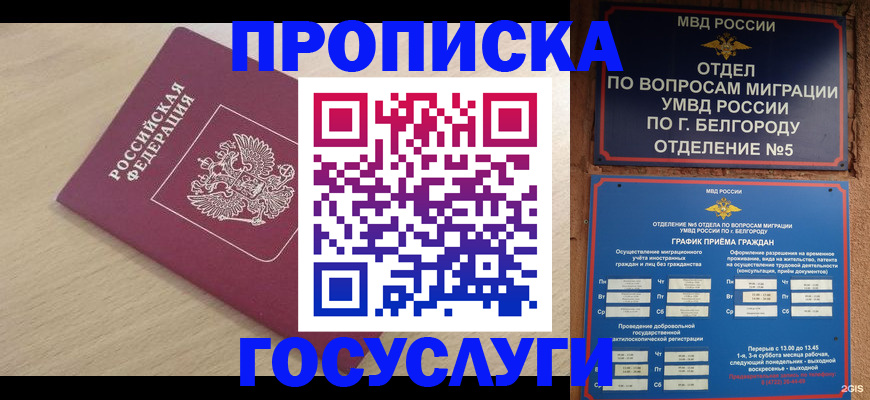 прописка законно в Валдае